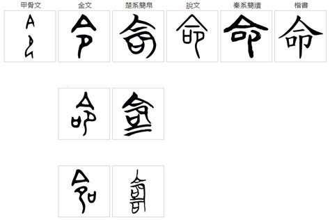 命 同音字|命（汉语文字）